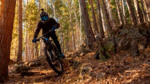 Electric Bike in Action